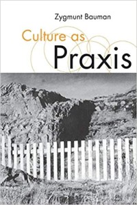 Culture as Praxis